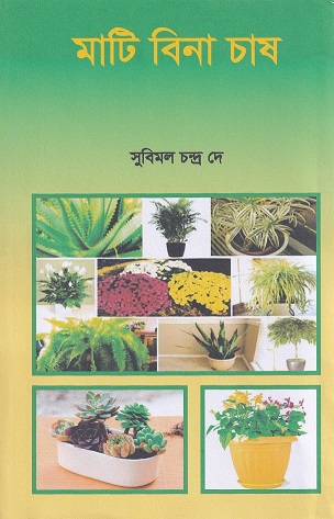মাটি বিনা চাষ